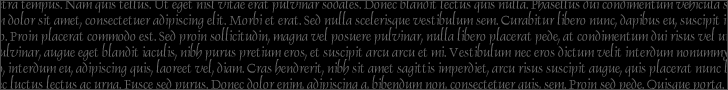 Lorem ipsum
